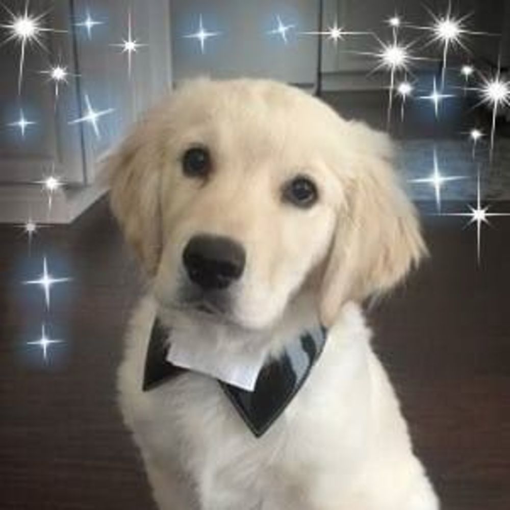 Meet your Posher, Carrianne